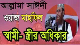 Allama Saidy Fuul Bangla Waz | New Waz Video | Bangla Waz Mahfil | Allama Delwar Bangla Saidy Waz