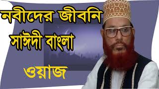 Allama Saidy Bangla Waz | New Bangla Waz 2019 || Bangla Waz Mahfil Allama Delwar Hossain Saidy ||