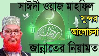 বাংলা ওয়াজ মাহফিল আল্লামা দেলাওয়ার হোসাইন সাঈদী । Islamic Bangla Waz 2019 | Allama Saidy Bangla Waz