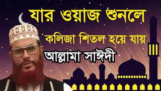 Bangla Waz Mahfil 2019 | Islamic Waz Bangla | Allama Delwar Hossain Saidy Bangla Waz Mahfil
