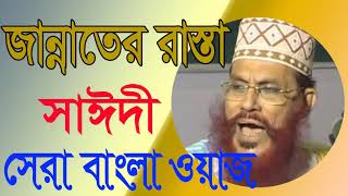 Bangla Waz 2019 | Allama Delwar Hossain Saidy Bangla Waz | Saidy Bangla Waz Mahfil | Islamic BD