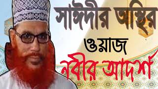 Allama Saidy Best Waz Mahfil | Bangla Waz 2019 | Best waz bangla | Exclusive Bangla Waz | Saidy Waz