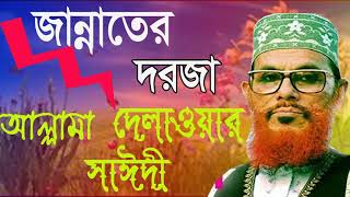 Allama Saidy Bangla Waz Mahfil | Bangla Waz 2019 | Islamic Bangla Mahfil Saidy | Waz Video