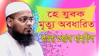 Mufty Habibur Rahman Mesbah Best Waz Mahfil 2019 | Bangla Waz 2019 | Waz Mahfil Bangla | Islamic BD