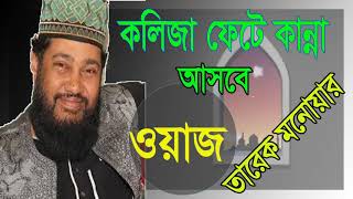 Tarek Monowar New Best Bangla Waz | মাওলানা তারেক মনোয়ার ওয়াজ | বাংলা ওয়াজ | Bangla Waz 2019