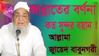 জান্নাতের বর্ননা নিয়ে বাংলা ওয়াজ । Bangla Waz Allama Junaied Babunogori | Best Bangla Waz Mahfil