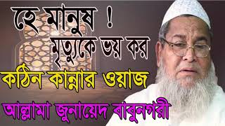 কঠিন বাংলা ওয়াজ । জুনায়েদ বাবুনগরী । Allama Junaed Babunogory Best Bangla Waz Mahfil । Islamic BD