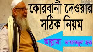 Bangla Waz 2019 | কোরবানী দেওয়ার সঠিক নিয়ম । Best Bangla Waz Tafajjul Hoque | Islamic Waz Mahfil