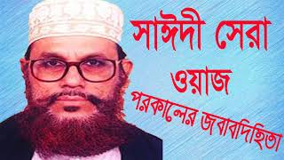 Allama Saidy Bangla New Waz | Best Bangla Waz | সাঈদী সেরা ওয়াজ মাহফিল । New Bangla Waz 2019