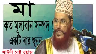 Allama Delwar Hossain Saidi Best Bangla Waz | মায়ের চেয়ে বড় আর কিছু নাই । বাংলা ওয়াজ । New Waz 2019
