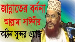 Allama Saidy  Exclusive Bangla Waz । জান্নাতের বর্ননা নিয়ে অসাধারন ওয়াজ । Bangla Waz | Islamic BD