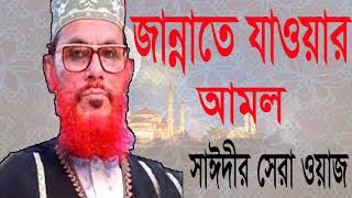 Bangla Waz Allama Delwar Hossain Saidy |  জান্নাতে যাওয়ার আমল কি ? বাংলা ওয়াজ । Islamic BD