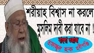 Bangla Waz Tafajjul Hoque Hobigonjy | অসাধারন বাংলা ওয়াজ । তাফাজ্জুল হক ওয়াজ মাহফিল । Bangla Waz