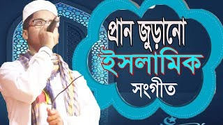 প্রান জুড়ানো ইসলামিক সংগীত । বাংলা গজল ২০১৯ । New Islamic Song Bangla | Bangla Gojol 2019