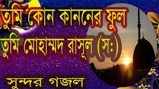 Islamic Bangla Song 2019 | তুমি কোন কাননের ফুল তুমি মোহাম্মদ রাসূল (স:)। Islamic Songeet- Islamci BD