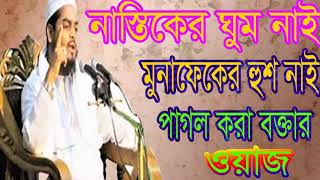 পাগল করা বক্তার সেরা বাংলা ওয়াজ । নতুন বছরের নতুন ওয়াজ । Islamic Bangla Waz 2019 | Islamic BD