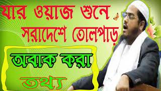 Bangla Islamic Waz Mahfil 2019 | যার ওয়াজ শুনে সারাদেশে তোলপাড় । হাফিজুর রহমান বাংলা ওয়াজ-Islamic BD