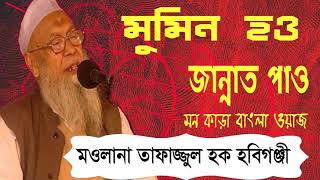 Bangla Islamic Waz Mahfil 2019 | মাওলানা তাফাজ্জুল হক হবিগঞ্জী সাহেবের মন কাড়া বাংলা ওয়াজ