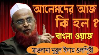 Bangla New Waz 2019 | আলেমদের নিয়ে একি বললেন হুজুর । মাওলানা নুরুল ইসলাম ওলিপুরী । Bangla Waz