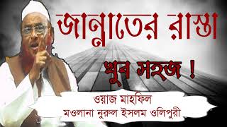 Islamic Bangla Waz Mahfil 2019 | মাওলানা নুরুল ইসলাম ওলিপুরী বাংলা ওয়াজ । Best Islamic Waz