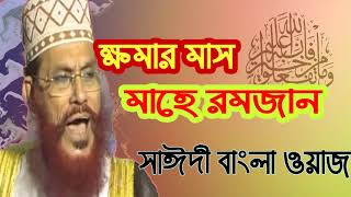 Allama Delwar Hossain Saidy New Bangla Waz । ক্ষমার মাস মাহে রমজান । বাংলা ওয়াজ । Full Video Waz