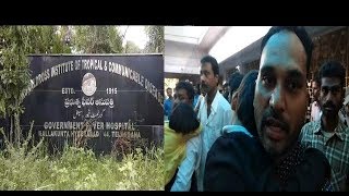 Viral Fever Se Awaam Hue Pareshan At Koranti Govt Hospital | A Huge Rush At Hospital |