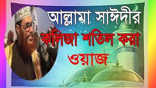 আল্লামা সাঈদীর কলিজা শিতল করা ওয়াজ । বাংলা ওয়াজ মাহফিল । Allama Saidy Bangla Waz | Islamic Mahfil