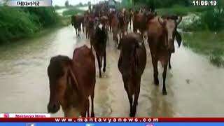 Bhavnagar: ગાજવીજ સાથે ભારે વરસાદથી ખેડૂતોમાં ખુશી