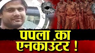 Gangster Papla Gujjar का एनकाउंटर! Rajasthan का मोस्ट वांटेड बदमाश || Navtej TV ||