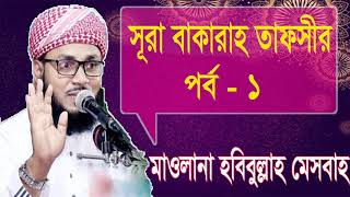 Bangla Waz । Habibullah Misbah | মাওলানা হাবিবুল্লাহ মিসবাহ ওয়াজ । সূরা বাকারাহ তাফসীর-Islamic BD