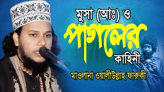 Bangla Waz | মুসা (আঃ) ও পাগলের কাহিনী | অলি উল্লাহ  ফারুকী । mufti waliullah faruqi | 2019