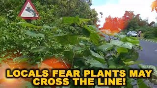 Locals Fear Plants May Cross The Line!