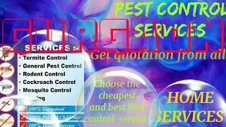 GURGAON    Pest Control Services ~ Technician ~Service at your home ~ Bed Bugs ~ near me 1280x720 3