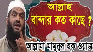 আল্লাহ বান্দার কত কাছে । বাংলা ওয়াজ আল্লামা মামুনুল হক | New Bangla Waz Mahfil 2019 | Islamic BD