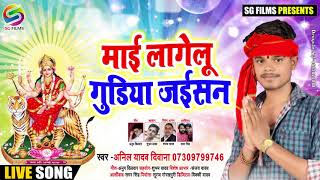 माई लागेलु गुड़िया जइसन | नवरात्री देवी गीत 2019 | Bhojpuri Bhakti Song | अनिल यादव दीवाना | SG FILMS