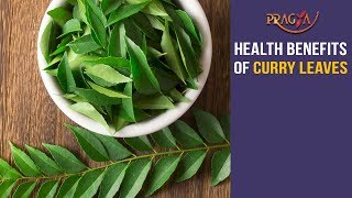 Watch Health Benefits and Importance of Curry Leaves