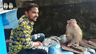 #गूंजन सिंह बंदर के साथ मुंबई Eliephenta मे मस्ती करते हुए # Gunjan singh, Ranjit singh Masti Video