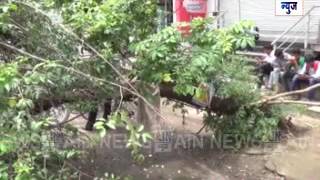 औरंगपुरा भागात २ दिवसापासून तुटून पडले आहे झाड महानगर पालिकेच होत आहे दुर्लक्ष