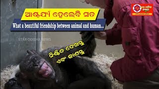 What a beautiful friendship between animal and human...????