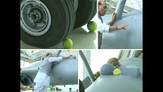 Watch: Rajnath Singh performs 'Shastra Puja' on Rafale combat jet