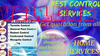 VELLORE     Pest Control Services ~ Technician ~Service at your home ~ Bed Bugs ~ near me 1280x720 3
