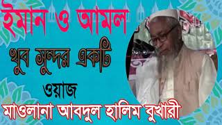 আব্দুল হালিম বুখারী ওয়াজ মাহফিল | Bangla Waz Mahfil 2019 | New Bangla Waz | Waz Mahfil Bangla