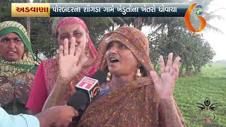 Gujarat News Porbandar 06 10 2019