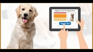 Stay in Mormugao? Now get licence to own a pet dog!