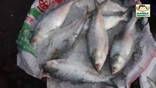 Cheapest fish market in the world | fish market in Bangladesh | মাছ বাজার বাংলাদেশ