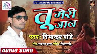 #Vibhakar Pandey - का दर्द भरा गीत - तू मेरी जान | Tu Meri Jaan | New Bhojpuri Sad Song 2019