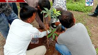 डॉ.संजय चव्हाण यांच्या वाढदिवसानिमित्ताने गदान्यात अडीच शे झाडांची लागवड
