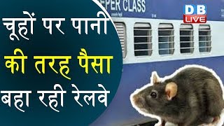 चूहों पर पानी की तरह पैसा बहा रही रेलवे-Indian Railways spent 22,000 RS  to trap one rodent on train