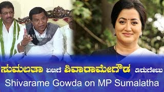 ಸುಮಲತಾ ಏಟಿಗೆ ಶಿವಾರಾಮೇಗೌಡ ತಿರುಗೇಟು | Shivarame Gowda on MP Sumalatha