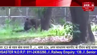 जब युवक गिर गया शेर के पिंजरे में  तो क्या हुआ  देखिए यह वायरल वीडियो THE NEWS INDIA